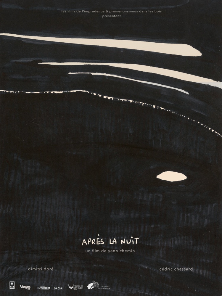 Affiche du film Après la nuit